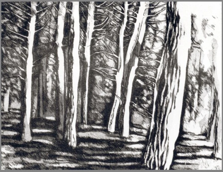 Trees